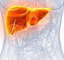 Active liver - wat is - gebruiksaanwijzing - recensies - bijwerkingen