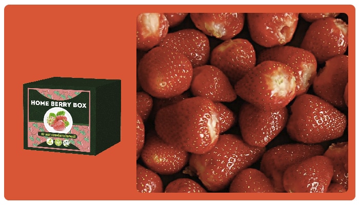 Home Berry Box- ervaringen- forum - Nederland - review
