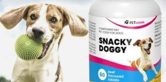SnackyDoggy - wat is - gebruiksaanwijzing - recensies - bijwerkingen